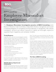 Employee Misconduct Investigation - BDO Consulting