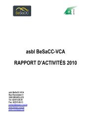 asbl BeSaCC-VCA RAPPORT D'ACTIVITÃS 2010