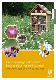Fleurs sauvages et prairies fleuries pour nos pollinisateurs, guide ...