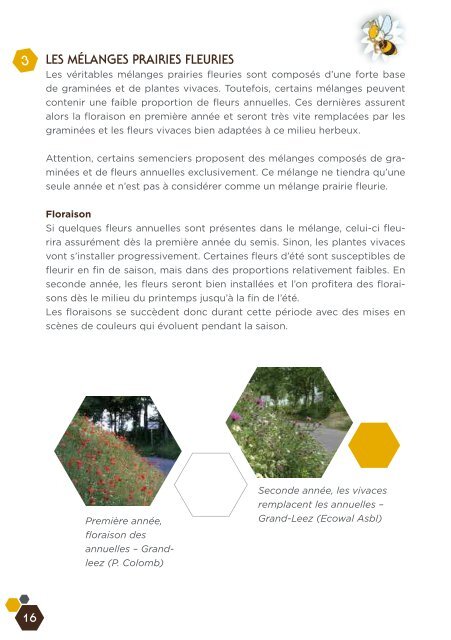 Fleurs sauvages et prairies fleuries pour nos pollinisateurs, guide ...