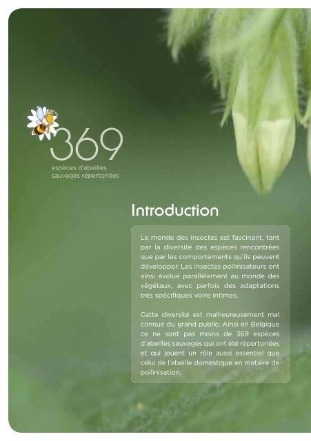 Fleurs sauvages et prairies fleuries pour nos pollinisateurs, guide ...