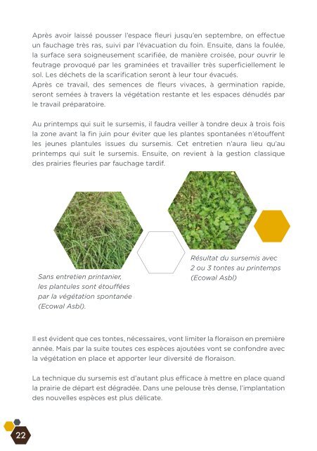 Fleurs sauvages et prairies fleuries pour nos pollinisateurs, guide ...