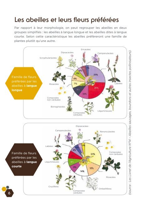 Fleurs sauvages et prairies fleuries pour nos pollinisateurs, guide ...