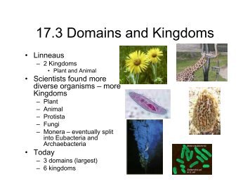 17.3 Domains and Kingdoms