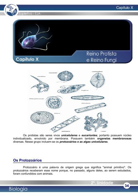 A Membrana PlasmÃ¡tica - Simonsen