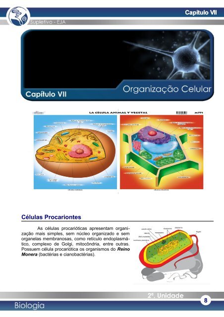 A Membrana PlasmÃ¡tica - Simonsen