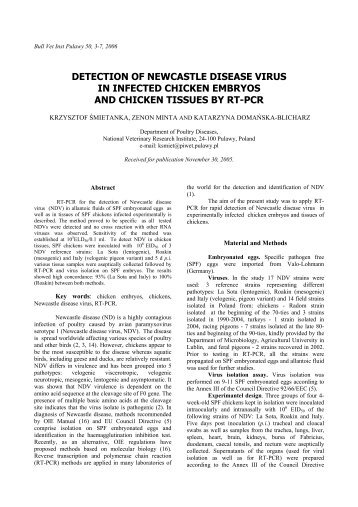 detection of newcastle disease virus in infected chicken embryos
