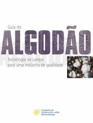 Guia do Algodao.pdf - CIB