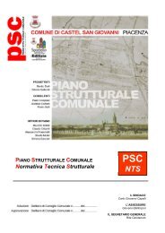 Normativa Tecnica Strutturale - Comune di Castel San Giovanni