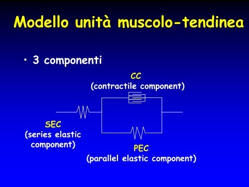 L'esercizio terapeutico - SunHope.it