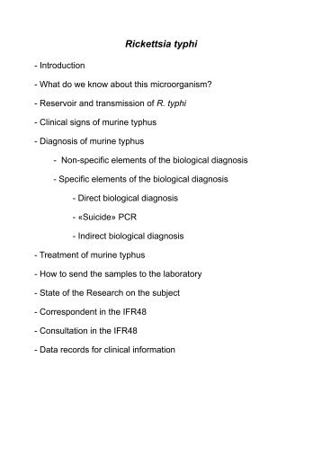 Murine typhus diagnosis