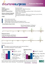 Dicurane Surpass-Flufenacet Alternatives - Makhteshim-Agan