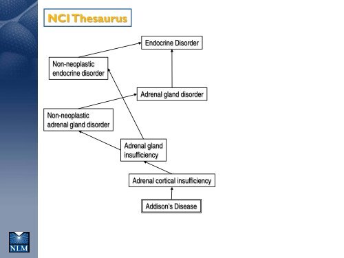 Using SNOMED CT with the UMLS - Medical Ontology Research