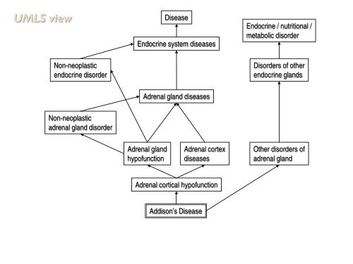 Using SNOMED CT with the UMLS - Medical Ontology Research