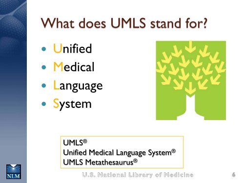 Using SNOMED CT with the UMLS - Medical Ontology Research