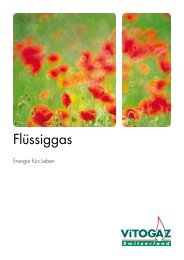 Flüssiggas - VITOGAZ Switzerland