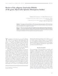 Review of the subgenus Semirodus Dlabola of the genus Mycterodus