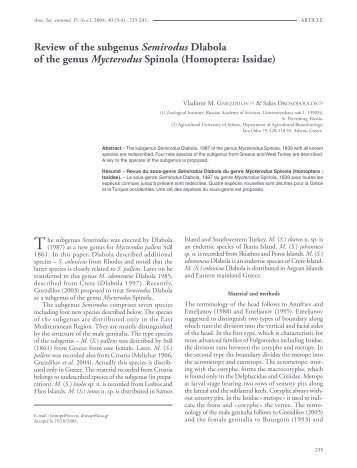 Review of the subgenus Semirodus Dlabola of the genus Mycterodus