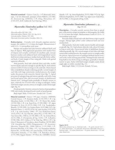 Review of the subgenus Semirodus Dlabola of the genus Mycterodus