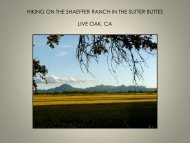 HIKING ON THE SHAEFFER RANCH IN THE SUTTER BUTTES