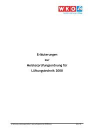 ErlÃ¤uterungen zur MeisterprÃ¼fungsordnung fÃ¼r ... - shk.at