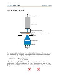 Microscopy Math - W.H. Freeman