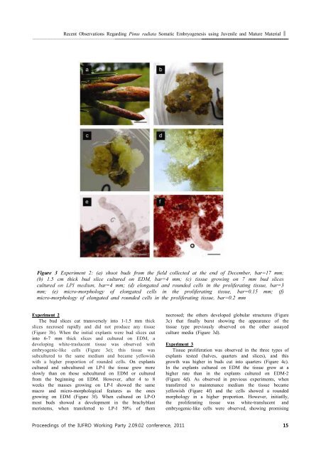 Advances in Somatic embryogenesis of Trees and Its - IUFRO