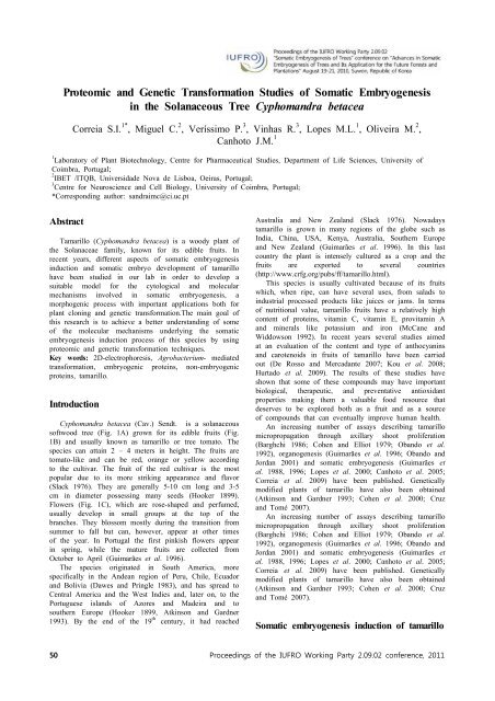 Advances in Somatic embryogenesis of Trees and Its - IUFRO