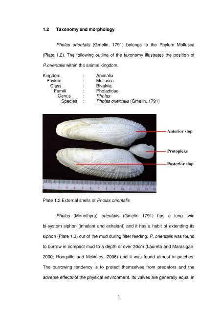 biological aspects and the development of larvae ... - ePrints@USM