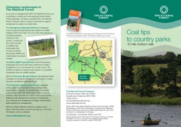 Coal Tips to Country Parks, 10 Mile Medium Walk, The National Forest