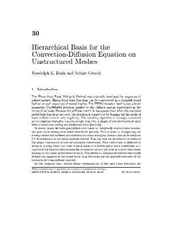 30 Hierarchical Basis for the Convection-Diffusion Equation on ...