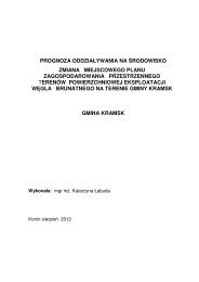 PROGNOZA ODDZIAŁYWANIA NA ŚRODOWISKO ... - Gmina Kramsk