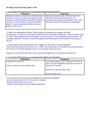 ap world final study guide Unit iii exam study guide the world shrinks 1 before 1450 central asia, the middle east, and eastern europe were involved in global trading, but as the world shrunk, the americas, africa, all of europe, and southern asia. ap world final study guide Unit iii exam study guide the world shrinks 1 before 1450 central asia, the middle east, and eastern europe were involved in global trading, but as the world shrunk, the americas, africa, all of europe, and southern asia.