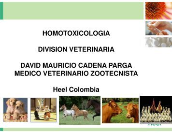 HOMOTOXICOLOGIA DIVISION VETERINARIA DAVID ... - Corhuila