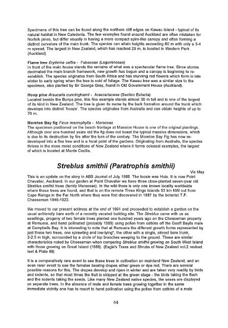 Streblus smithii - New Zealand Regional Botanical Society Journals