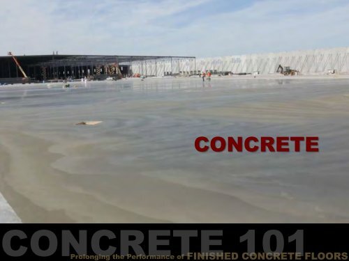 Prolonging the Performance of Finished Concrete ... - PROSOCO, Inc.