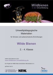 Wilde Bienen - Wildbienen in der Umweltbildung