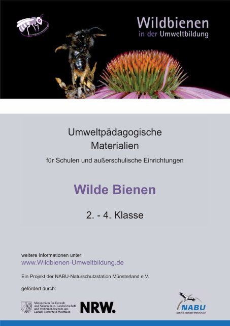 Wilde Bienen - Wildbienen in der Umweltbildung