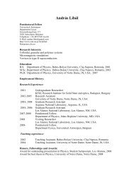 CV in pdf format - Condensed Matter Theory - Universiteit Antwerpen