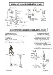 006 COMPONENTI ed USO BUNSEN - Forli