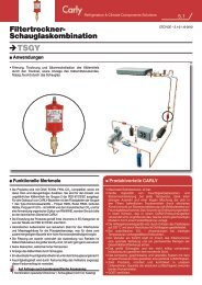 Technische Dokumentation (pdf - 235 ko) - Carly