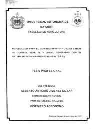 universidad autonoma de nayarit tesis profesional alberto antonio ...