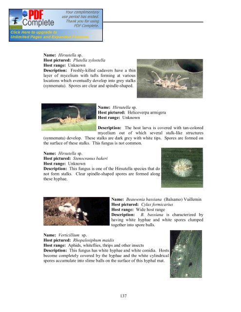 (IPPM) in Vegetables - Vegetableipmasia.org