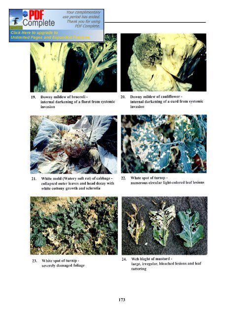 (IPPM) in Vegetables - Vegetableipmasia.org