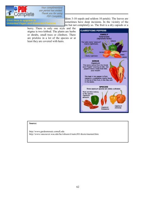 (IPPM) in Vegetables - Vegetableipmasia.org