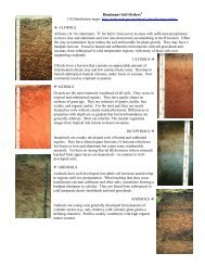 Dominant Soil Orders1