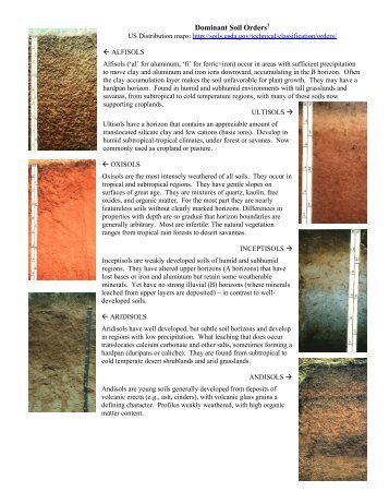 Dominant Soil Orders1