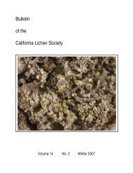 Volume 14(2): Winter 2007 - The California Lichen Society (CALS)