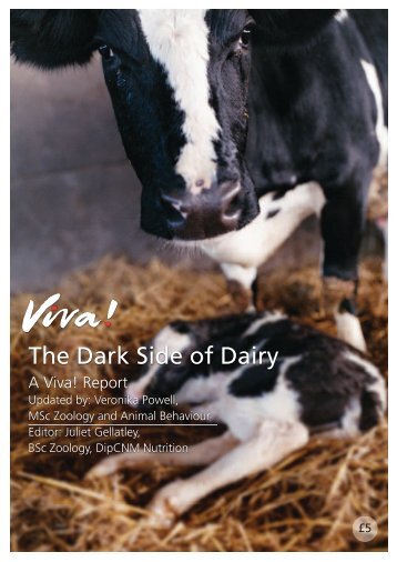 Dark-Side-of-Dairy-report-2014