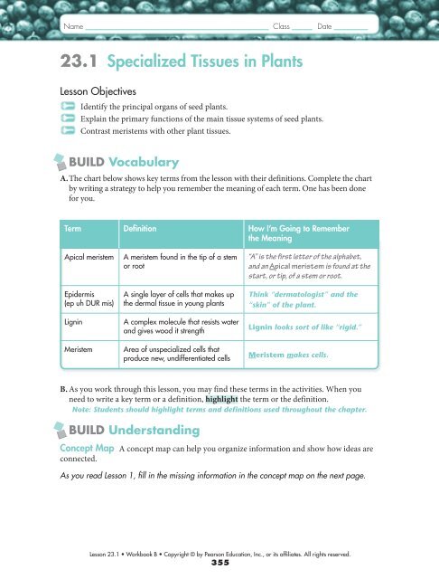 Tissue Chart Answer Key